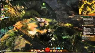 Guild Wars 2 HoT - Scout Acan [Guitar Guy]