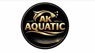 New fish 🐠🐋🐟 low price 