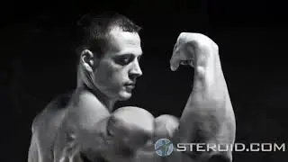 Equipoise (Boldenone Undecylenate)