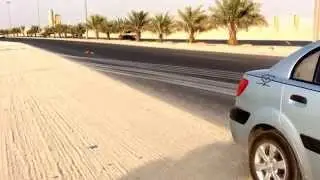 Accident hit by dog