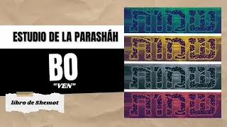 Estudio de la Parashá 15 - BO - EMC SHALOM EUROPA - 5786