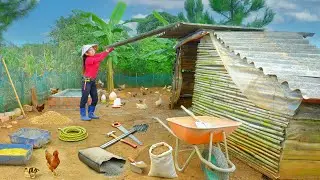 Repair Chicken Coop: Replace Roof,Door, Pour Concrete, Spread Rice Husk &ndash; Prepare For 1,000 Chickens