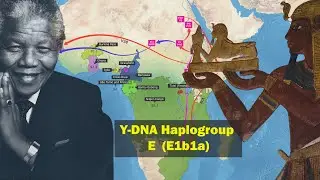 Происхождение и распространение HG E1b1a
