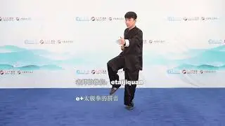 郑佳琦太极拳独门四十八式散手精细教学及实战运用58 48式散手详细分解 第九式下採肘 1080p