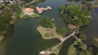 Taiping Lake Gardens: The Scenic Loop