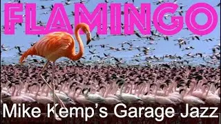Piano Jazz. Pianist Mike Kemp plays FLAMINGO