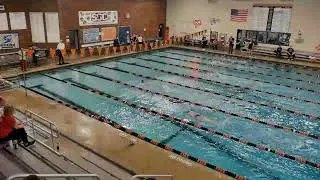2026 Tigersharks Swim Club Freezing your Fins Sat pm