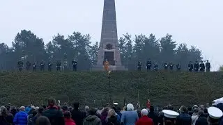 Polygon Wood Dawn Service