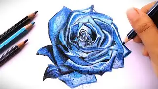 Blue Rose! How to draw a Rose step by step? #rose #art #howto #drawing