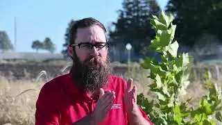 Establishing Saturated Riparian Forest Buffers Part 1