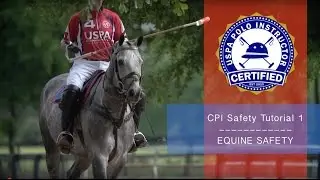 CPI Safety Tutorial | Equine Safety