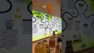 Embrace nature with 100% pure, cold-pressed, unrefined oil🌱✨....📍Hampi pure, Hsr Layout |fyp|foryou|