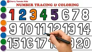 Learn Numbers 1 to 20 for Kids | Number Tracing & Coloring | Counting for Toddlers