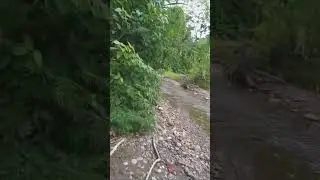 La Leyenda Del Silb&oacute;n