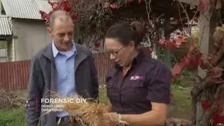 Forensics DIY Handy Girl style
