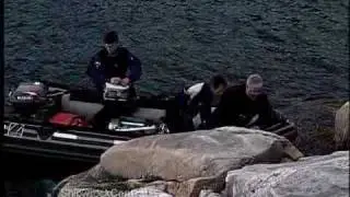 The Wreck of the Fox