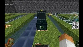 how to dupe in donutSMP | TUTORIAL