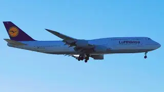 Newark Liberty International Airport 2024 Plane Spotting - Arrivals & Departures