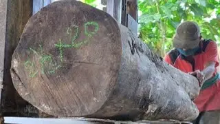 The Moments of the Revelation of High-Value Premium Wood Fiber 