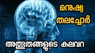 Human Brain Facts and Functions | മനുഷ്യമസ്തിഷ്കം കംപ്യൂട്ടറിനേക്കാൾ കൂടിയത് | Malayalam