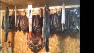 Michigan trap line 2012