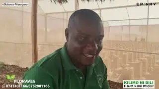 FLORAVEG 0747401166 HAPA MOROGORO UNAPATA MICHE BORA YA MBEGU ZA NYANYA #CAPTAIN_F1 #SALINA_F1