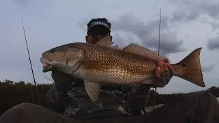 Red fish kayak fishing Tampa bay