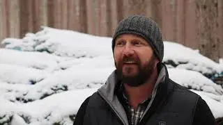 Getting a Christmas Tree to Market | Dutchman Tree Farms