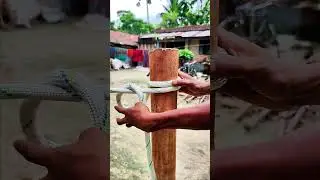 Wow...Genius kont💪