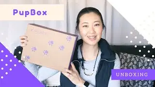 PupBox UNBOXING and REVIEW | Featuring Siberian Husky and Rough Collie | Dog Subscription Box