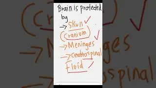 definition of brain/function of brain/protection of brain #biology #cbse12thbiology #mbbs