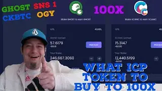 What ICP Tokens To Buy On The Internet Computer To 100X