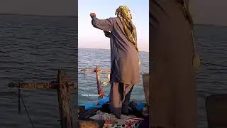 Catching Big Dentex Fish In Mangroves Karachi 🐠🐟 #fishing #youtubeshorts
