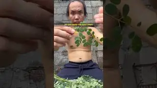 Tamang pagtanggal ng dahon ng Malunggay | The Leaf Whisper: This is the Art of Moringa Leaf Removal!