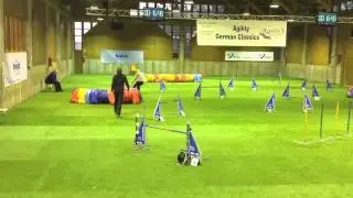 Agility German Classics 2013 | Dazz Jumping