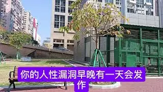 1珠海老哥对澳门蚂蚁搬家的领悟；2河南老哥在澳门10个月的蚂蚁搬家感受；3山东老哥眼中的蚂蚁搬家真相；4香港老哥对红蓝的深度认知；5江苏老哥在永利皇宫铂利会的思考。