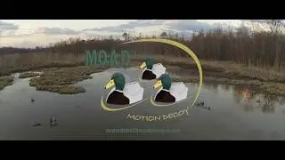 The M.O.A.D.&reg; Motion Decoy