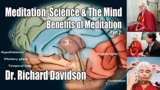 Meditation, Science & The Mind - Pt. 2 - Dr. Richard Davidson - Benefits of Meditation on the Brain.