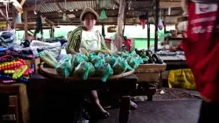 Profiting from organic growth in rural Laos