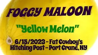 Foggy Maloon - 