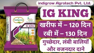 IG KING Indigrow Agrotech Product Testimonial Video