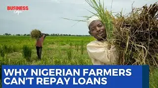 Falling Food Prices Push Nigerian Farmers Into Loan Default Crisis