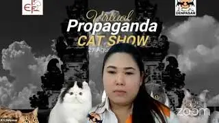 Virtual Propaganda Cat Show ICA Denpasar