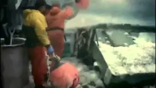 Люблю планету - The world is just awesome. Discovery.