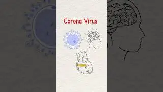 Почему COVID-19 был НЕ просто очередным гриппом