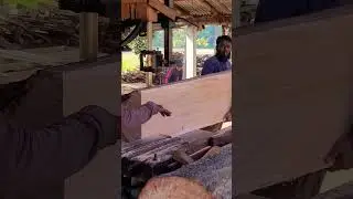 Mahogany Wood Cutting #mahogany #wood #design
