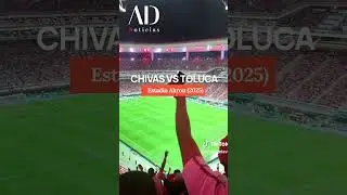 Afici&oacute;n de Toluca, la mejor de M&eacute;xico