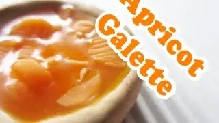 Apricot Galette / Collab with Entertaining With Beth