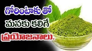 గోరింటాకు తో మనకు కలిగే ప్రయోజనాలు.. || Health Benefits of Henna ( Gorintaku ) leaves