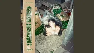 Somewhere Between the Shovel and the Egg